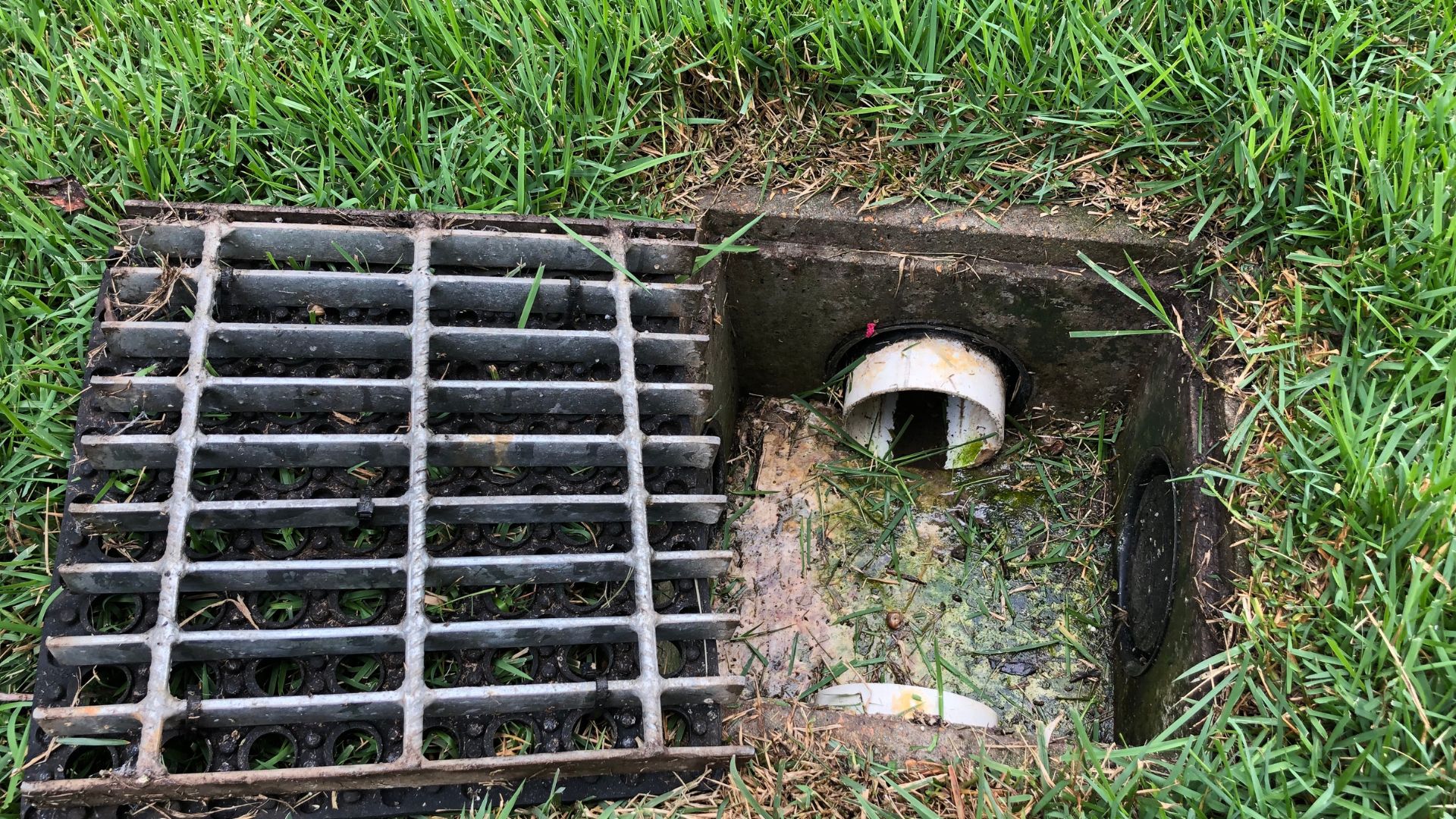 A metal grate removed from a rectangular drainage box set in grass, exposing a white PVC pipe outlet inside the drain.
