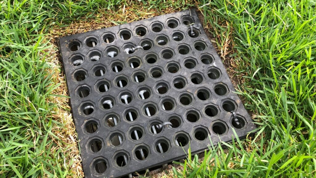 A black plastic drainage grate with circular holes is set in the ground surrounded by green grass.