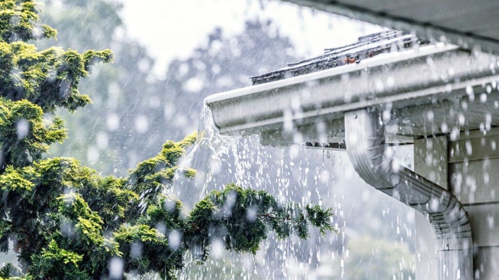 Rainwater overflowing a house gutter during a downpour, with water spilling onto nearby branches and roof edges.