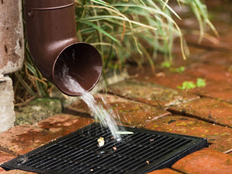 Water flows from a brown downspout into a black drain grate on a wet brick surface, with some green plants nearby.